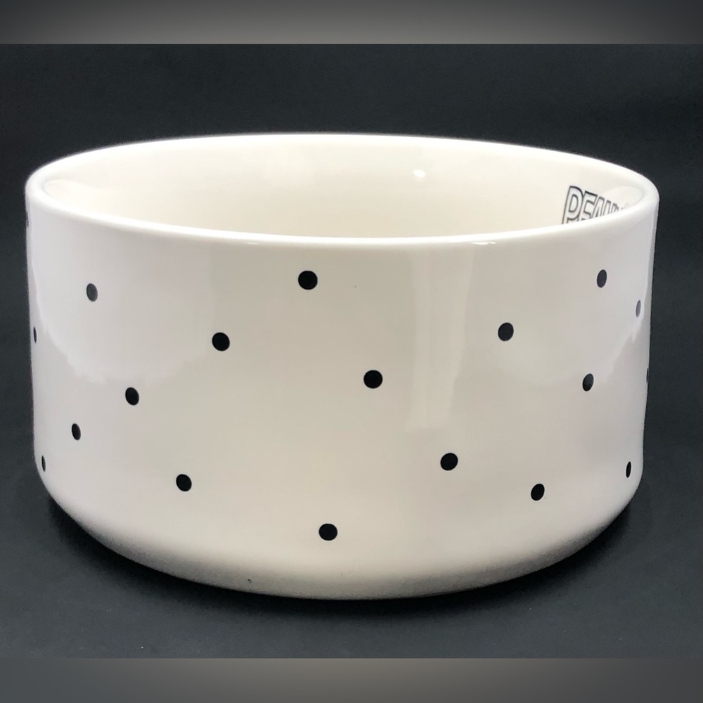 Rae Dunn Peanuts Pet Dog Bowl Halloween Spooktacular Snoopy & Woodstock - Picture 3 of 16